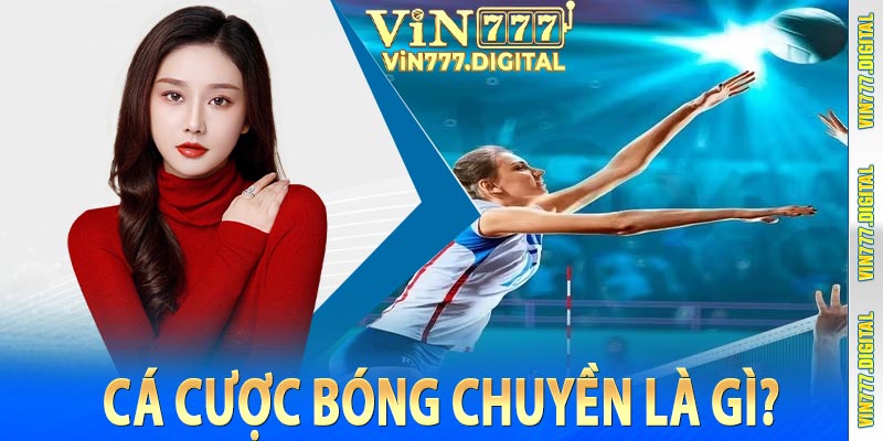 Cá Cược Bóng Chuyền Là Gì?