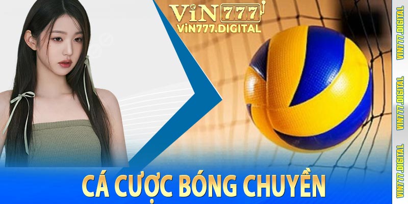 Cá Cược Bóng Chuyền