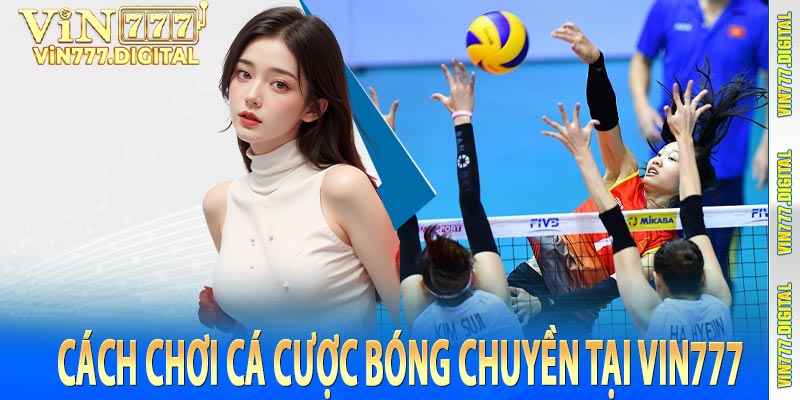 Cách Chơi Cá Cược Bóng Chuyền Tại Vin777