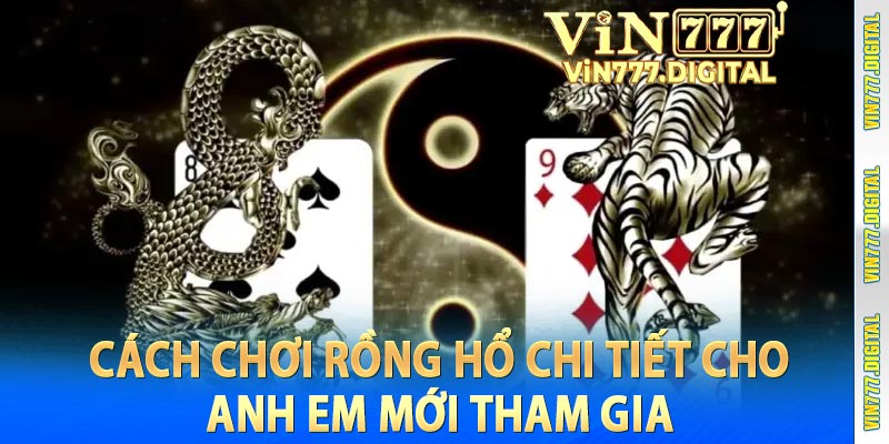 Cách chơi Rồng Hổ chi tiết cho anh em mới tham gia 